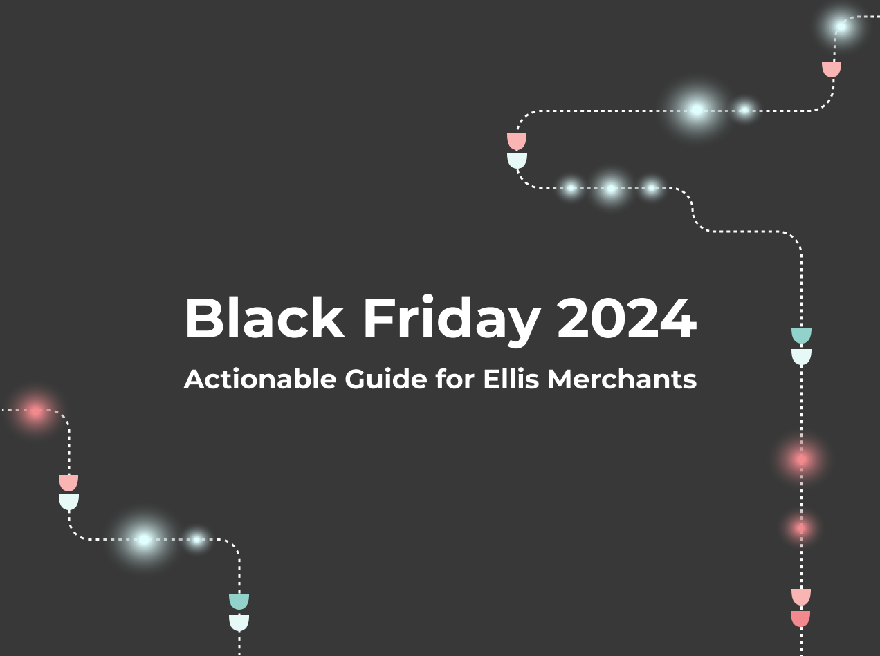 Black Firday Ellis user guide